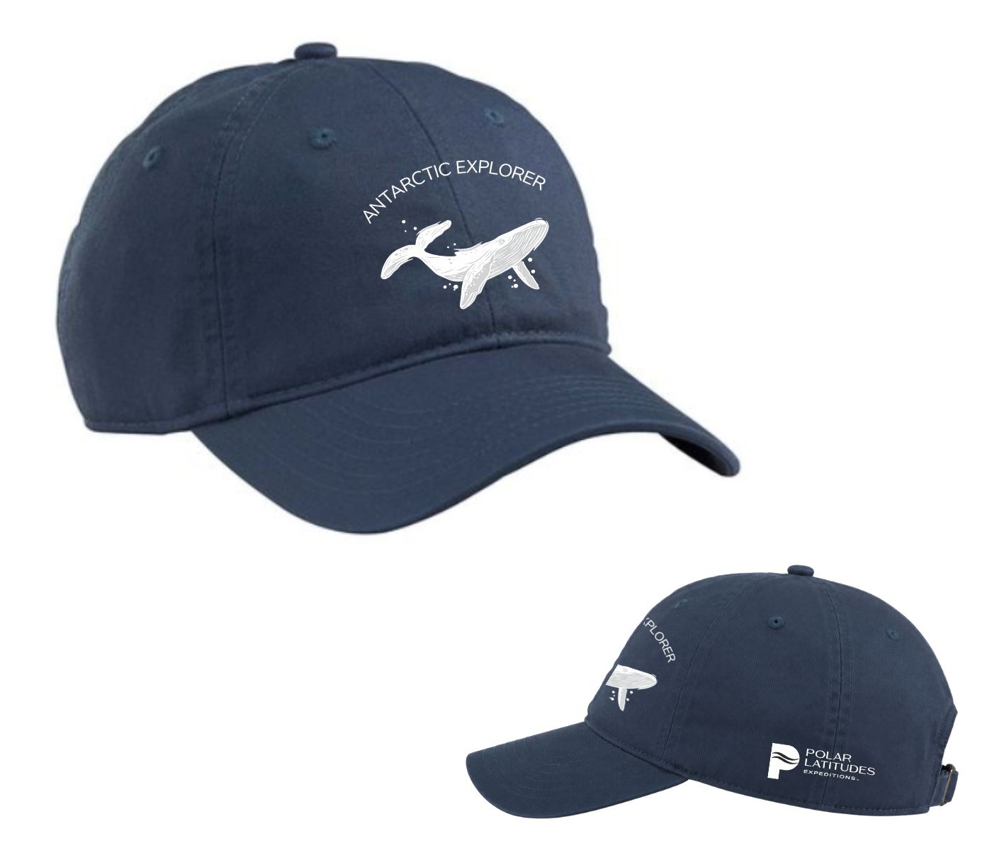 PLX Antarctica Humpback Cap - Image 3