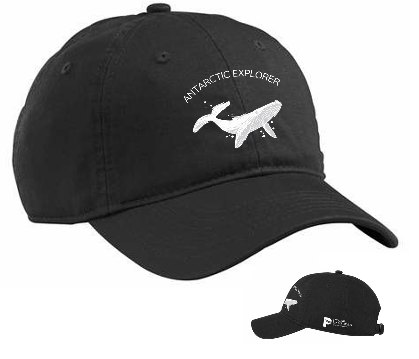 PLX Antarctica Humpback Cap - Image 2