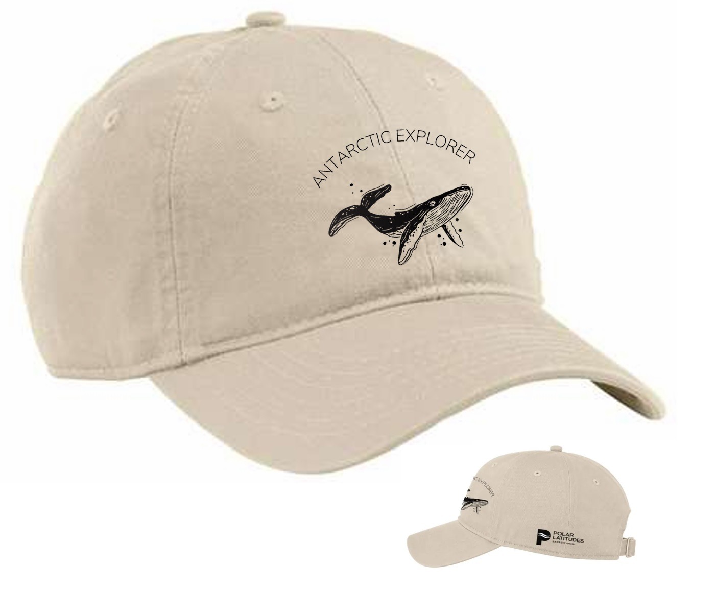 PLX Antarctica Humpback Cap