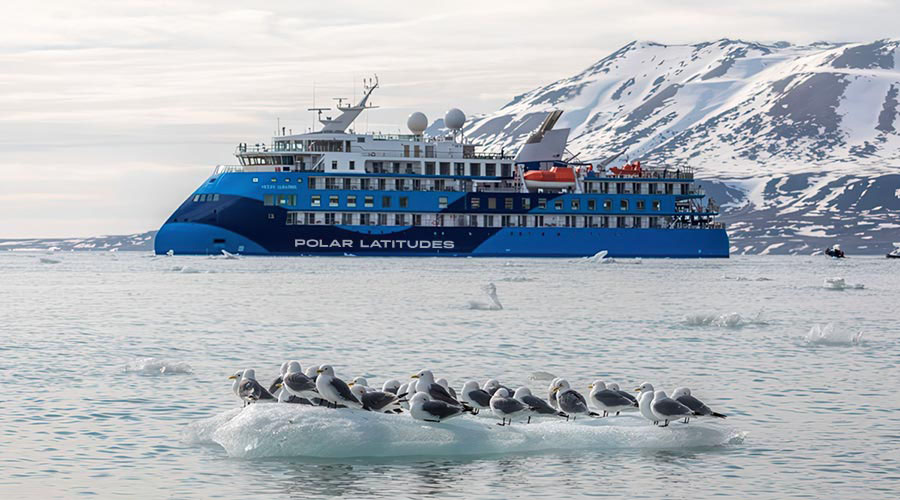Rentals for the Ocean Albatros